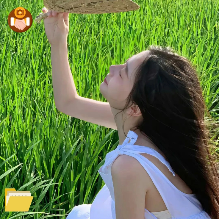 苏先生